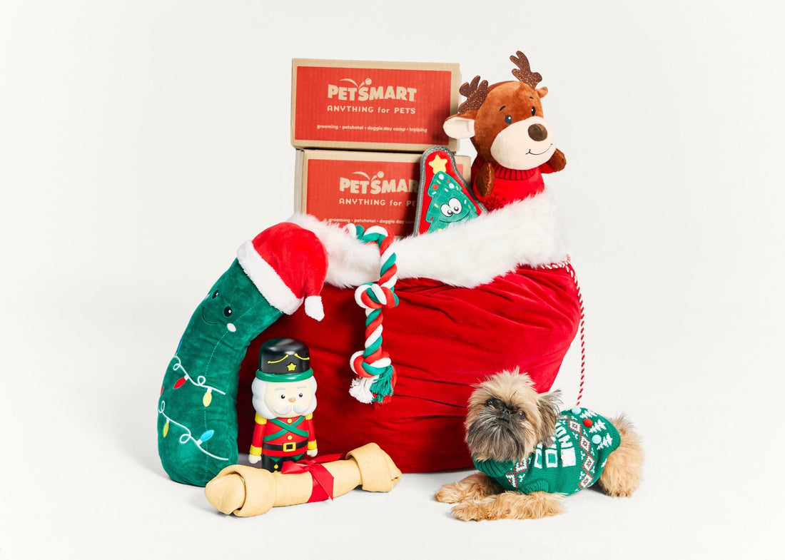 PetSmart’s 2024 Merry & Bright Collection Is Here: Spoil Your Pup This Holiday Season