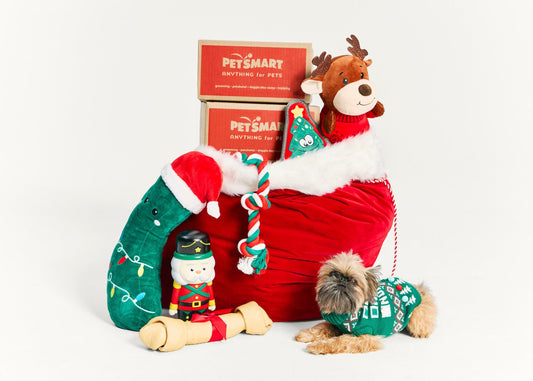 PetSmart’s 2024 Merry & Bright Collection Is Here: Spoil Your Pup This Holiday Season