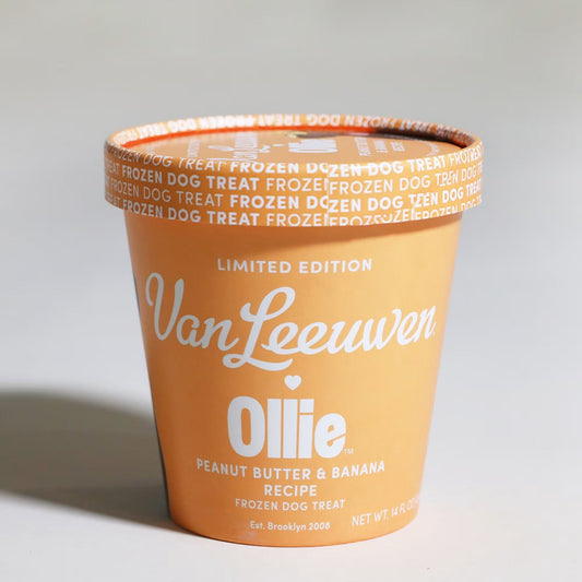 Your Dog Deserves Ice Cream Too: The Fancy Frozen Treat You’ll Both Be Fighting Over