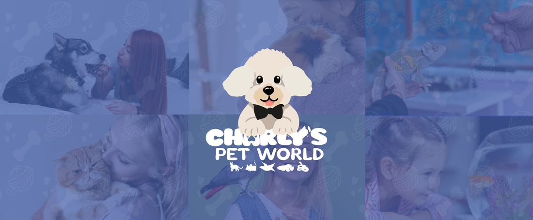 Doolce + Diego Peanut Butters Are Now at Charly’s Pet World in Alhambra