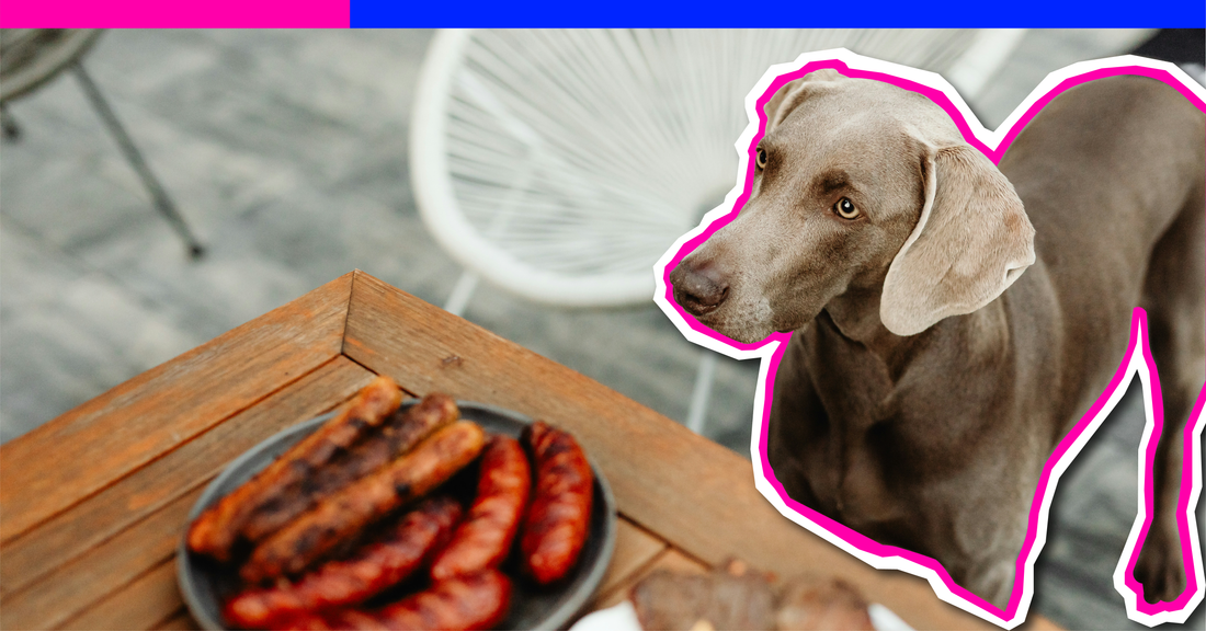 BBQs Are a Dog’s Dream—And a Vet Visit Waiting to Happen