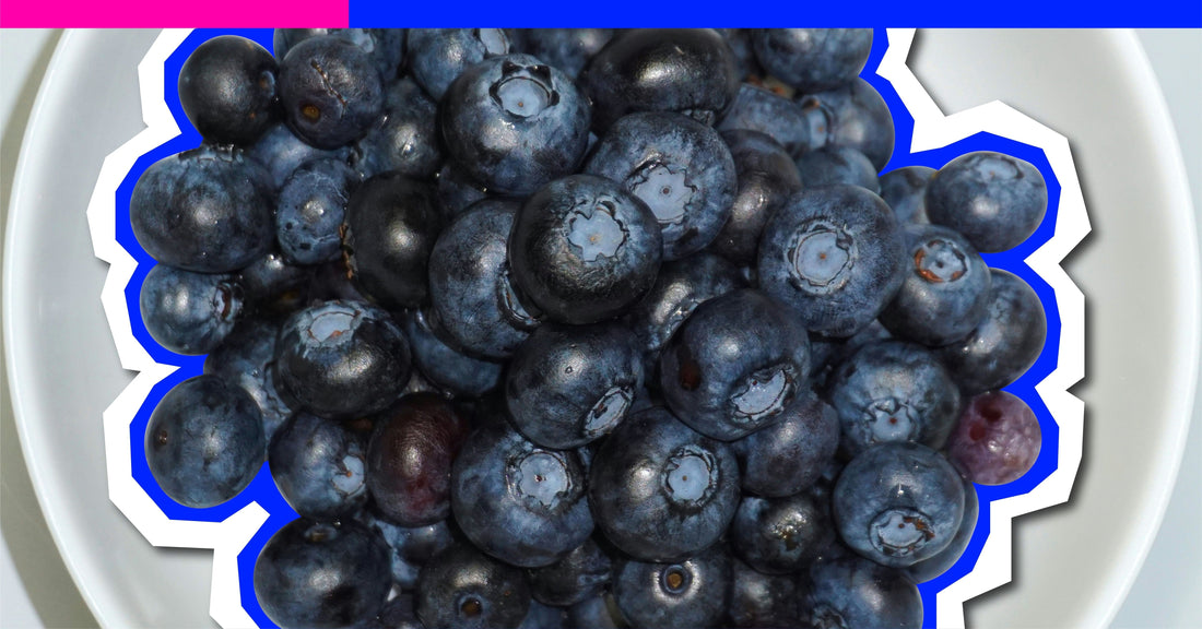 Can Dogs Eat ... Blueberries?