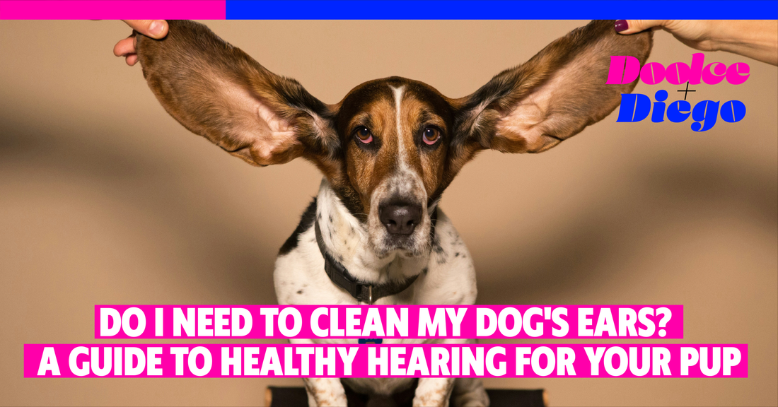 Do I Need to Clean My Dog's Ears? A Guide to Healthy Hearing For Your Pup