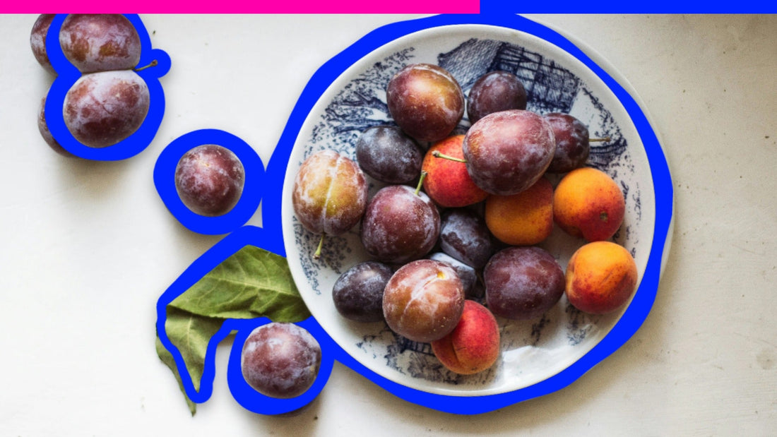 Can Dogs Eat Plums? Here's Why We Say Pass.