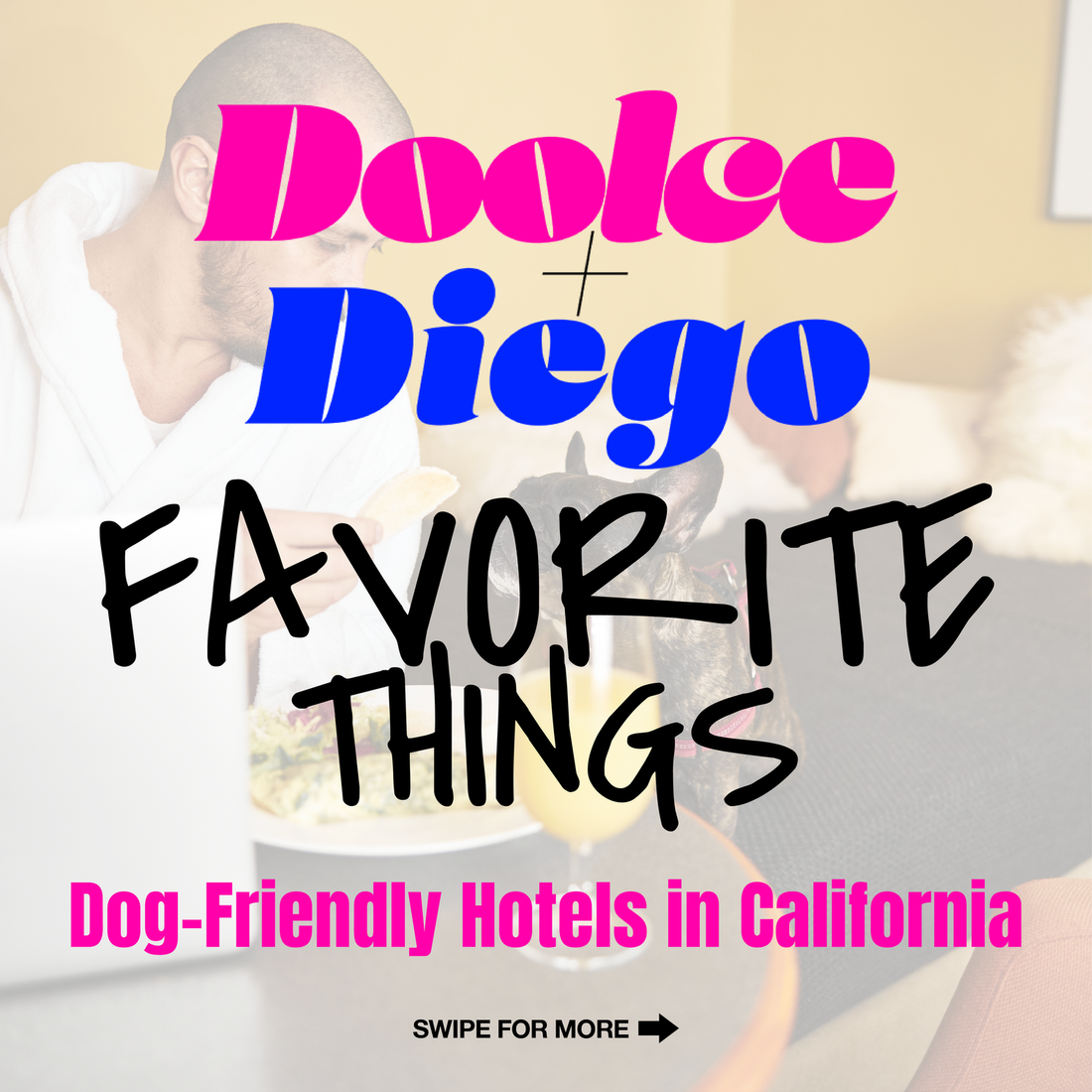 Favorite Things - “Dog-Friendly Hotels in California”