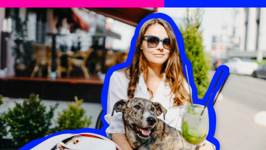 Dining Out with Your Dog: Don’t Be That Table