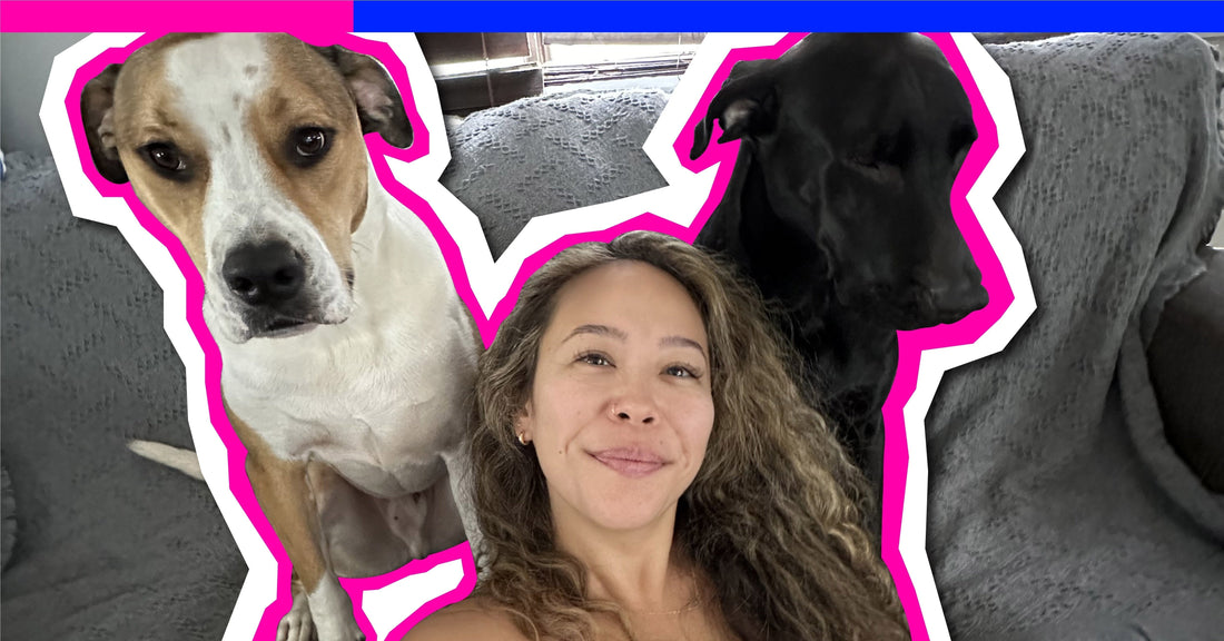 Moms of Dogs: Elle, Rambo & Thanos