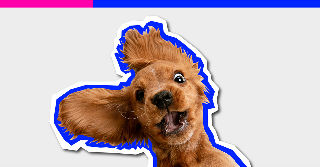 Forever Young: The Playlist That Refuses to Act Its Age