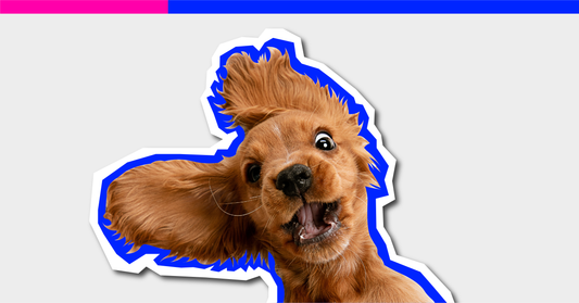 Forever Young: The Playlist That Refuses to Act Its Age