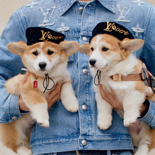 Pharrell Takes Louis Vuitton’s SS25 Collection to the Dogs—In Style!