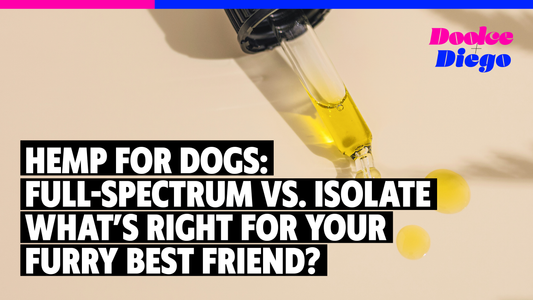 Hemp for Dogs: Full-Spectrum vs. Isolate—What’s Right for Your Furry Best Friend?