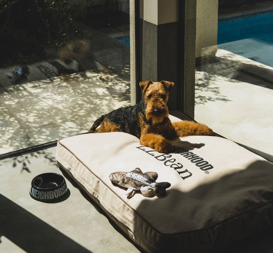 Paw-some Style: NEIGHBORHOOD’s Latest Drop Brings High Fashion to the Dog World