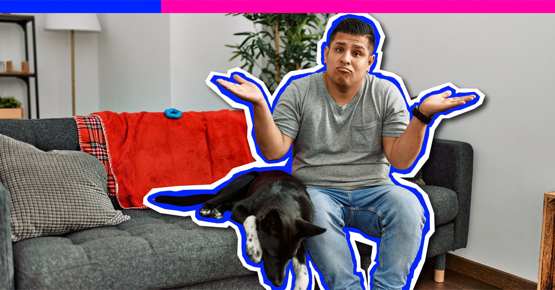 Is 'Just a Dog' Thinking the Reason Canine Health Is So Broken?