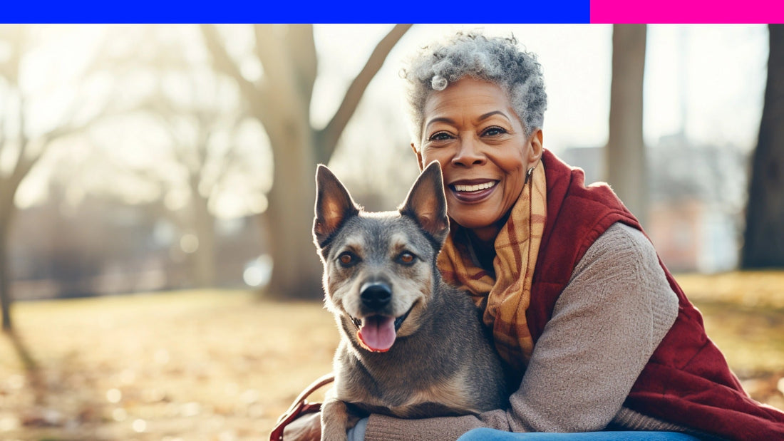 Is My Dog a Senior Yet? Here’s How to Tell