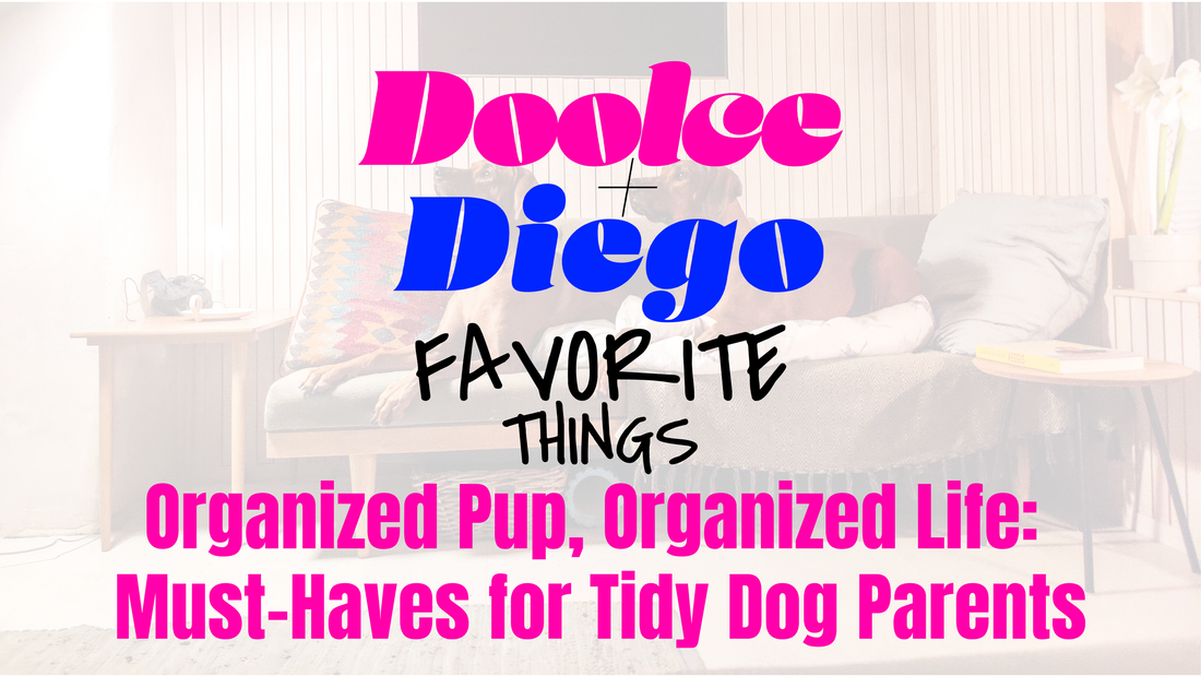 Favorite Things - “Organized Pup, Organized Life: Must-Haves for Tidy Dog Parents”