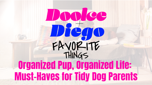 Favorite Things - “Organized Pup, Organized Life: Must-Haves for Tidy Dog Parents”