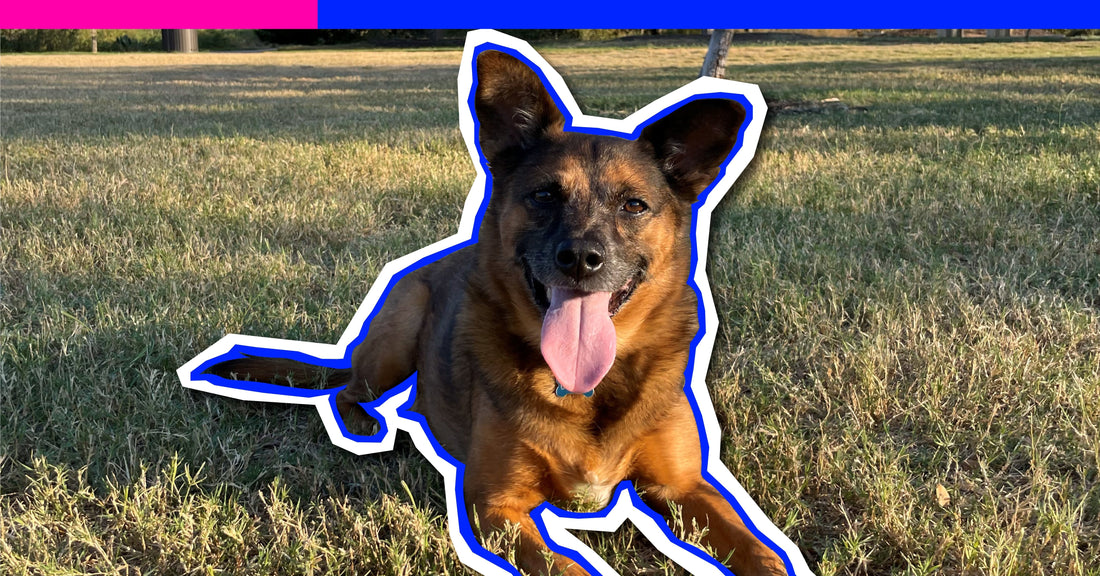 Moms of Dogs: Lillian and Copper