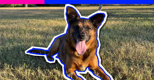 Moms of Dogs: Lillian and Copper