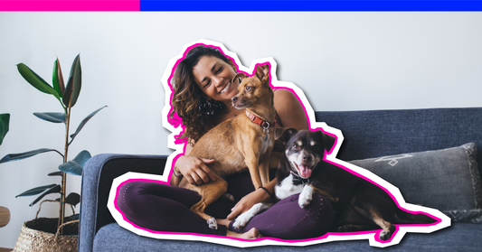 10 Ways to Show Your Dog You Love Them (That Don’t Involve More Treats)