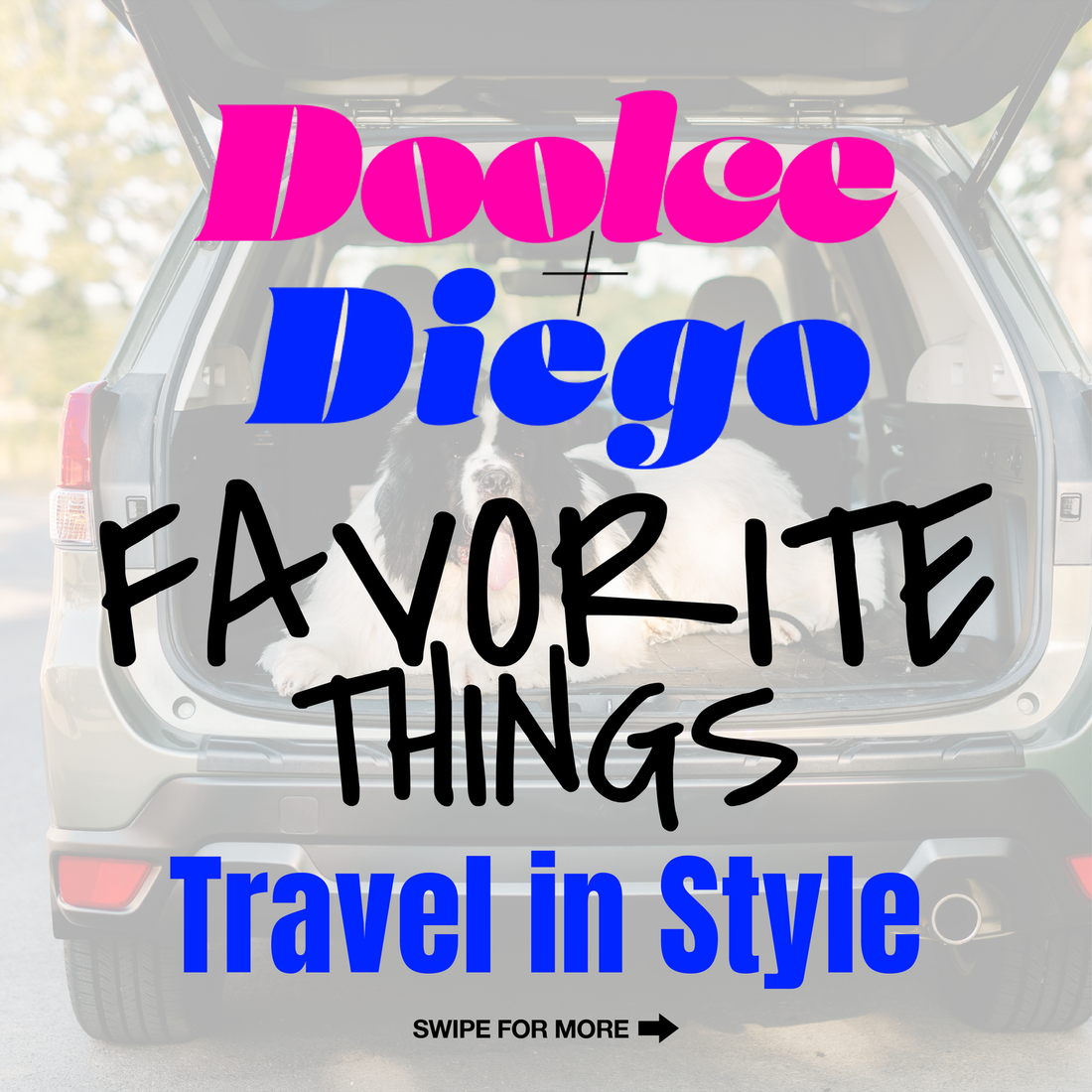 Favorite Things - “Travel in Style: Essential Gear for Holiday Adventures with Your Dog”