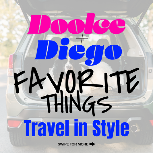 Favorite Things - “Travel in Style: Essential Gear for Holiday Adventures with Your Dog”