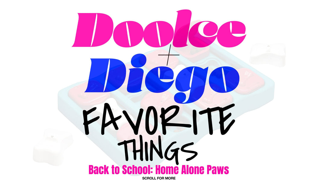 Favorite Things - “Back to School: Home Alone Paws”
