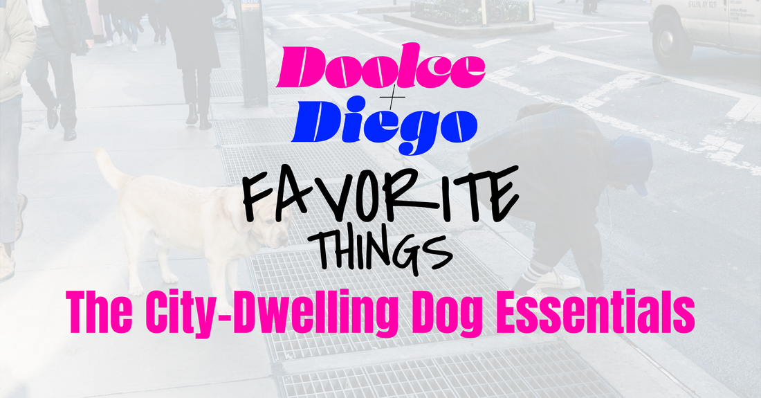 Favorite Things: The City-Dwelling Dog Essentials