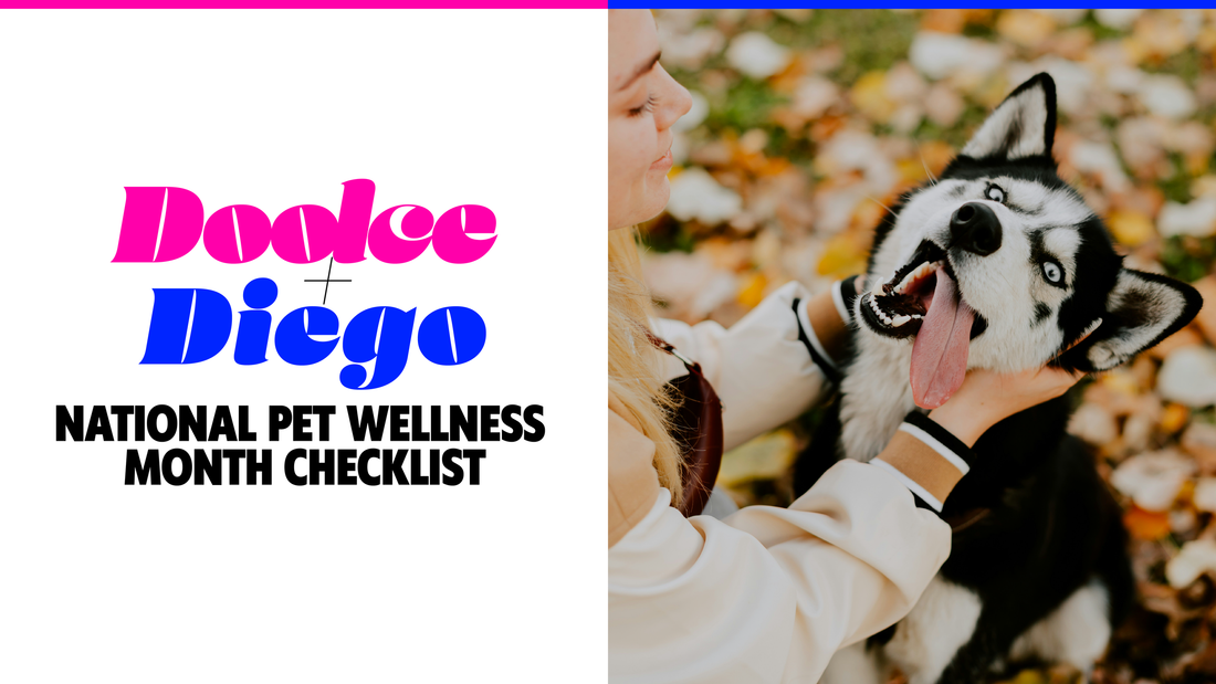 National Pet Wellness Month Checklist