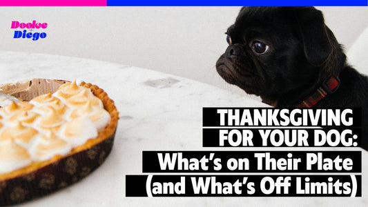 Thanksgiving for Your Dog: What’s on Their Plate (and What’s Off Limits)