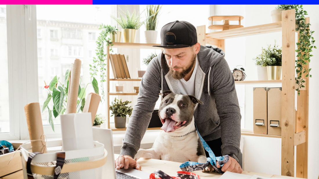 Balancing Pet Parenthood While Working Full-Time: Tips for a Happy Pet and a Productive You
