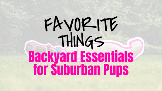 Favorite Things: Backyard Essentials for Suburban Pups