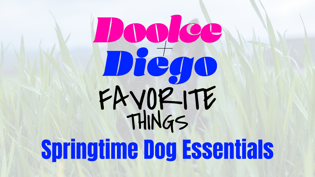 Springtime Dog Essentials