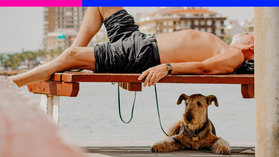 Hot Dog, Hold the Burn: Do Dogs Really Need Sunscreen?