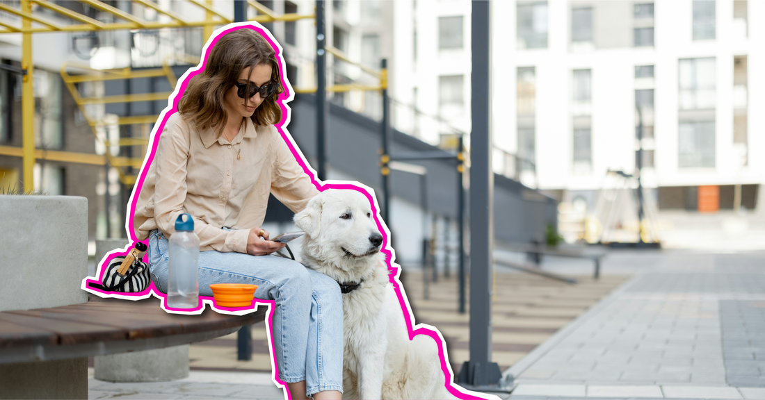 When Did 'Aesthetic' Matter More Than Actual Dog Health?