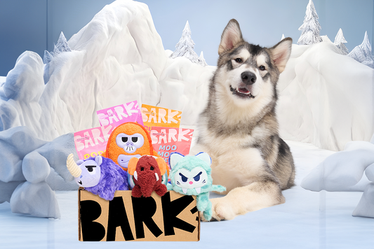 BarkBox & Super Chewer Kick Off 2025 with an Epic Theme: "Tails from the Ice Age"!