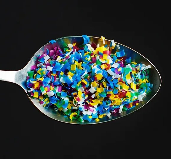 The Dirty Truth About Microplastics and Your Dog