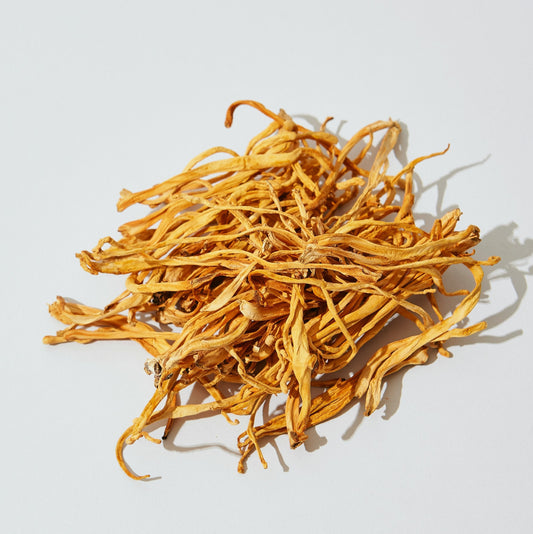 The Truth About Functional Mushrooms for Dogs