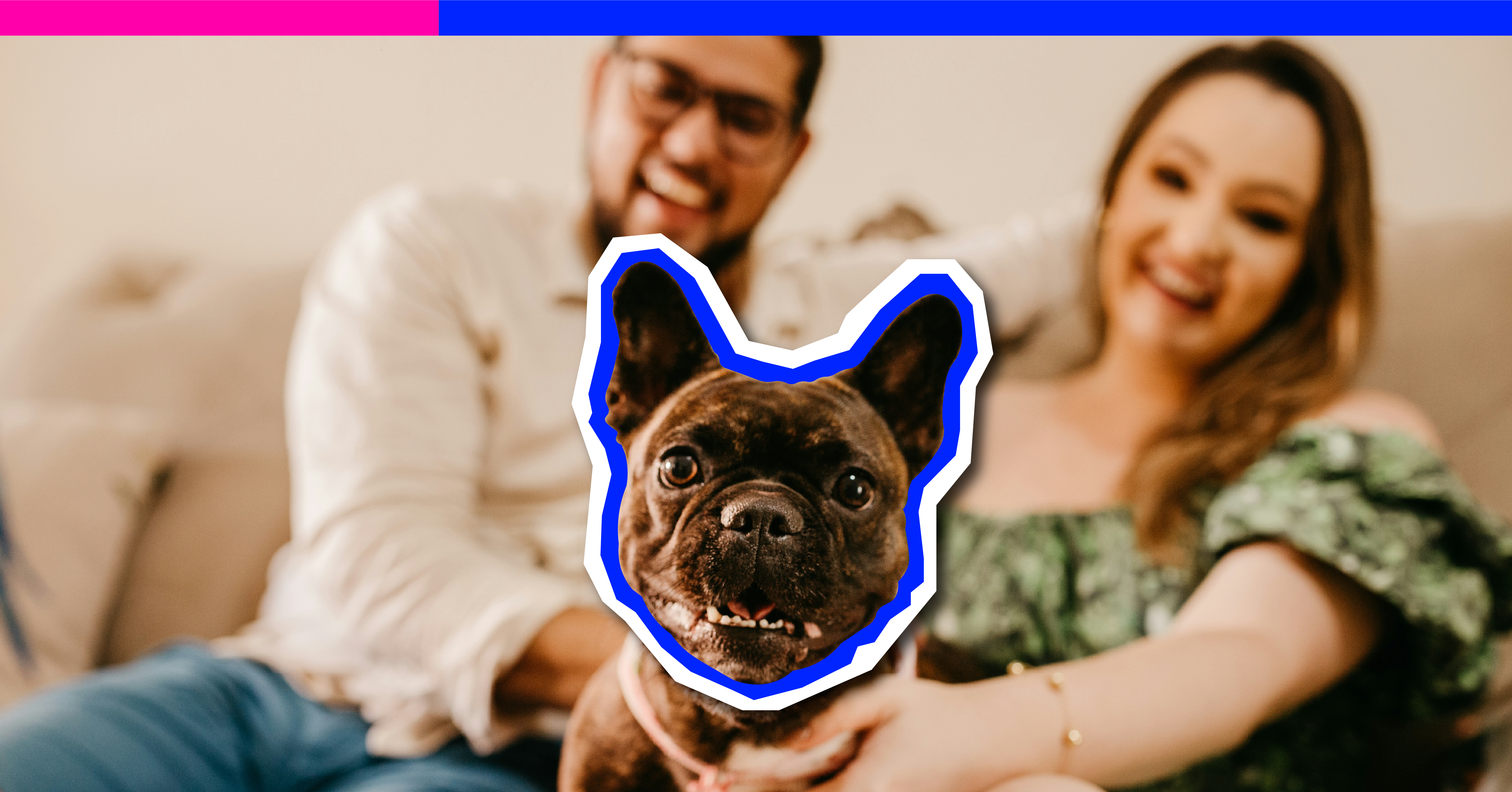 ¿Quién se queda con el perro? Reglas de compromiso para la custodia de mascotas tras una ruptura.