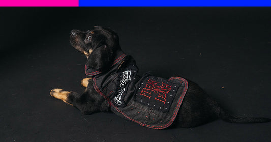 Jonathan Davis Enters the Pet Game with “Freak on a Leash"