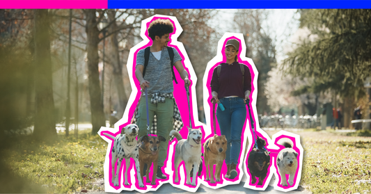 Questions to Ask Before Hiring a Pet Sitter: A Must-Ask Checklist