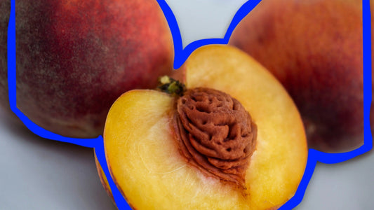 Can Dogs Eat Peaches? Sweet Treat or Total Pitfall?