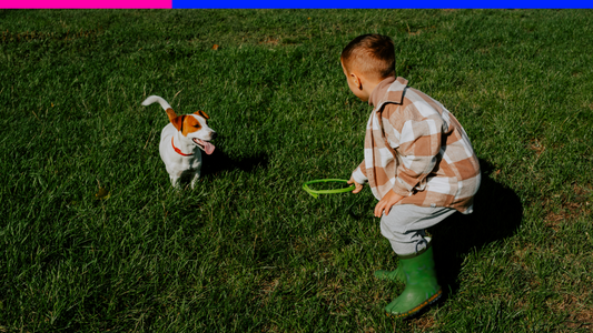 Teaching Kids About Dog Safety: A Guide for All Ages