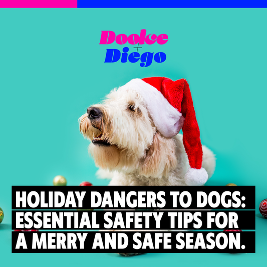 Holiday Dangers to Dogs: Essential Safety Tips for a Merry and Safe Season