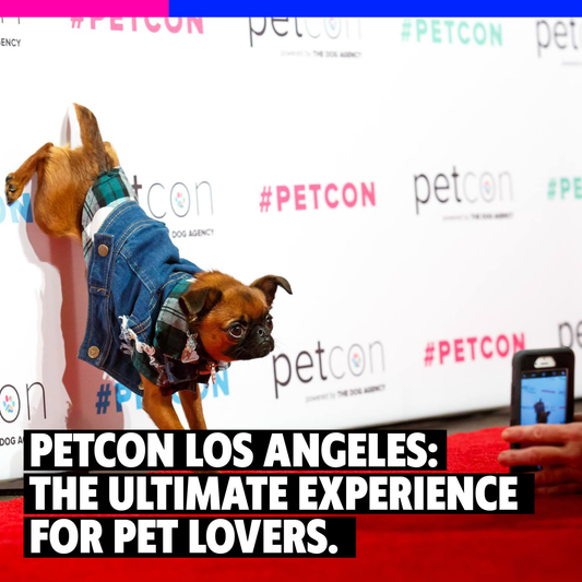 PetCon: The Ultimate Experience for Pet Lovers