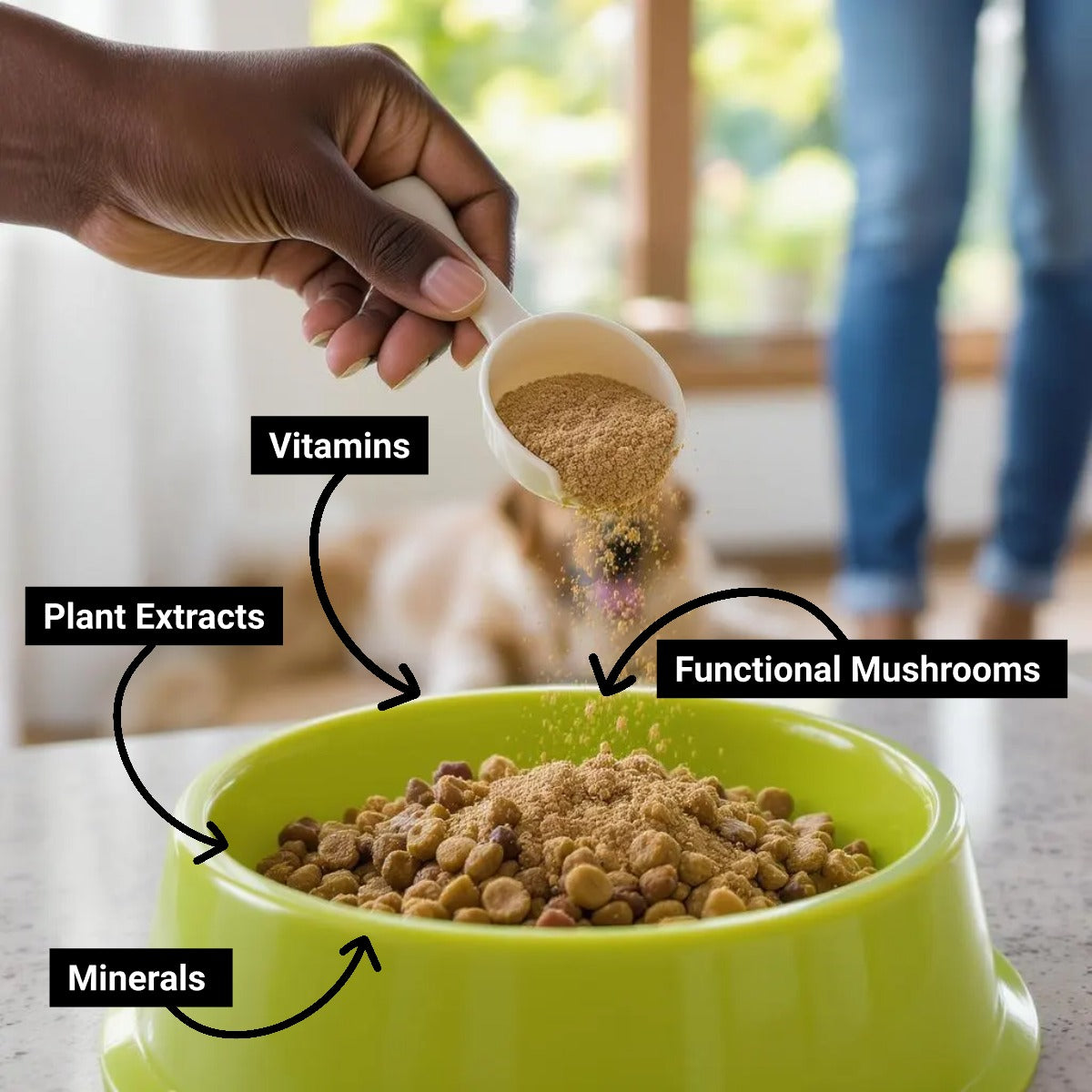 For Immunity - Functional Mushroom Supported Meal Topper