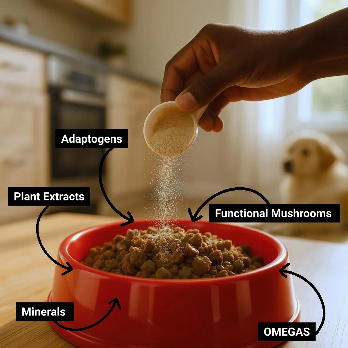 For Joints - Functional Mushroom Supported Meal Topper