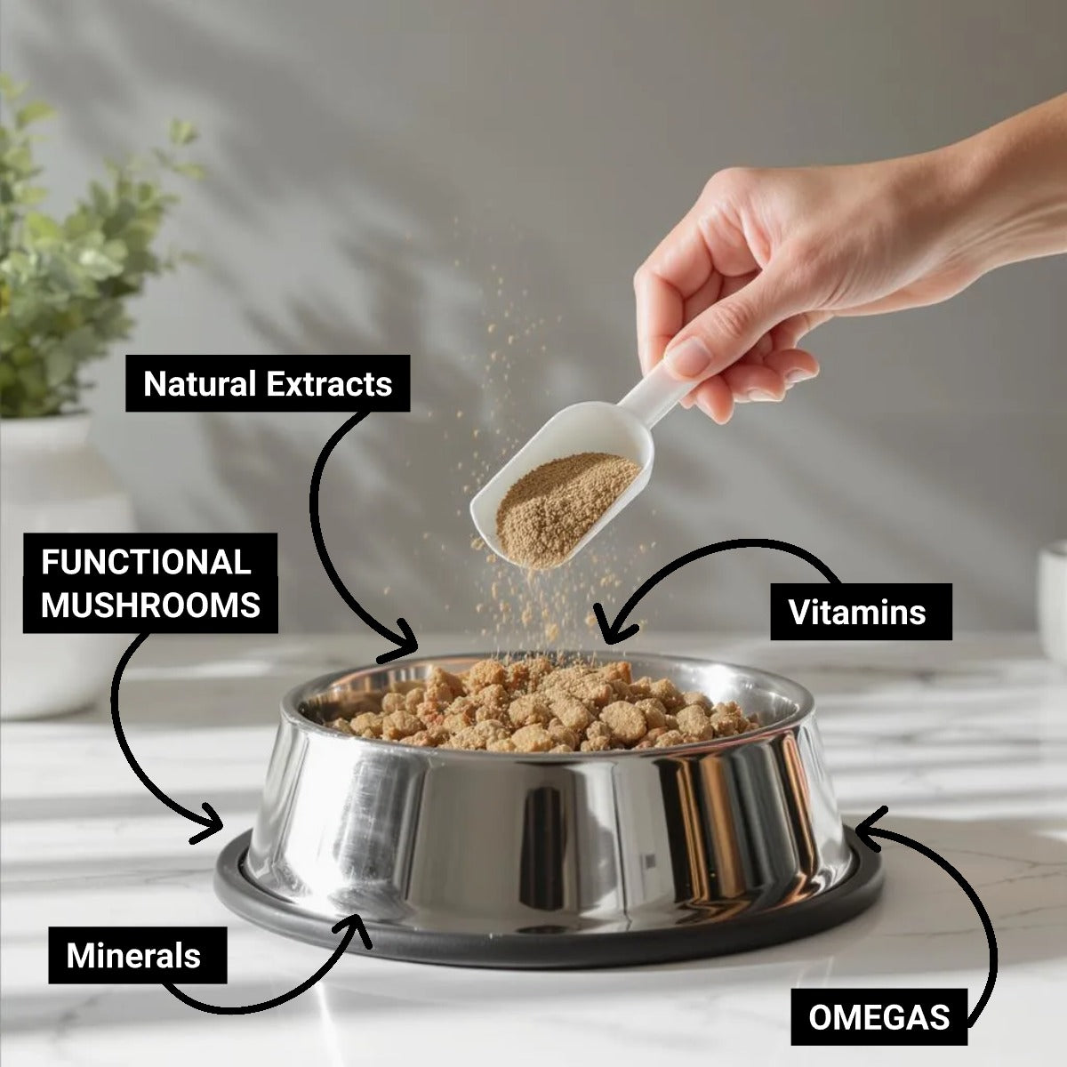 For Skin & Coat - Functional Mushroom Supported Meal Topper
